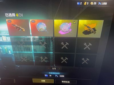 绝地求生（PUBG）工坊还有个成长共3成长2异色