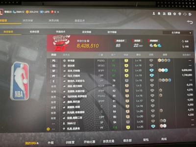 NBA2K OL2（端游）满巴特勒巴格利