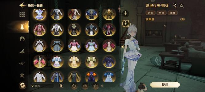 哈利波特：魔法觉醒【127级】三万仲夏，大衣柜，127书