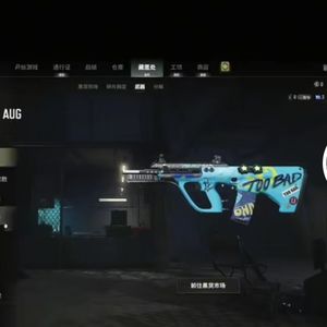 绝地求生（PUBG）权志龙aug