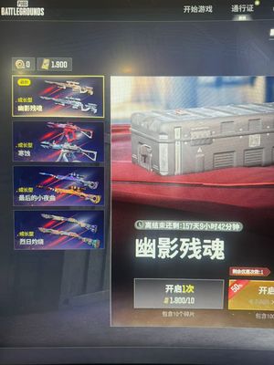 绝地求生（PUBG）1900黑货一百宝箱改名卡黄东