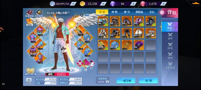 神陵武装【65级】团武不出 不玩处理了