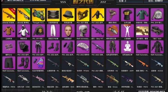 绝地求生（PUBG）3段号圣诞AK满级尼尔头