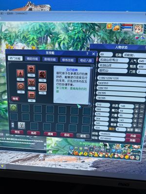 梦幻西游（端游）【69级普佗.69】带孩子出了