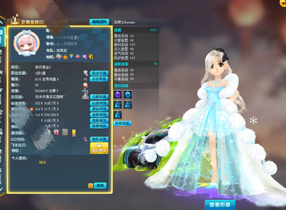 QQ飞车【139级】顶高端S和五A精品动作男女衣柜