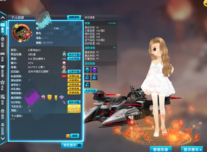 QQ飞车【201级】顶高端S和四A动作男女衣柜