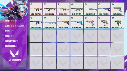 无畏契约：源能行动【177级】【WYSF209】【英雄】：