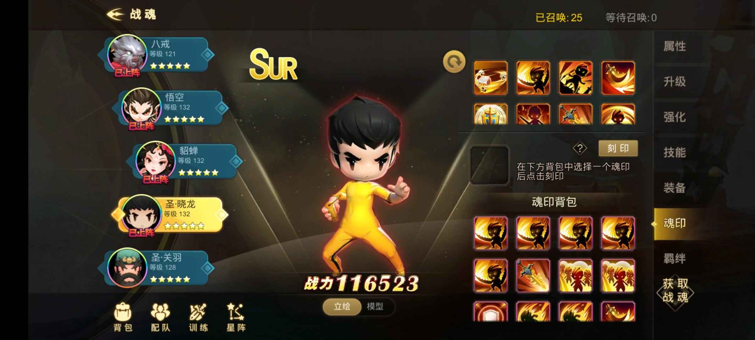 超级地城之光【133级】V15术士号