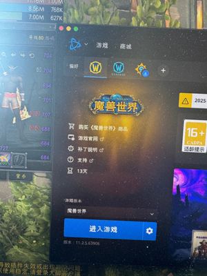 魔兽世界自玩账号，点进来看看