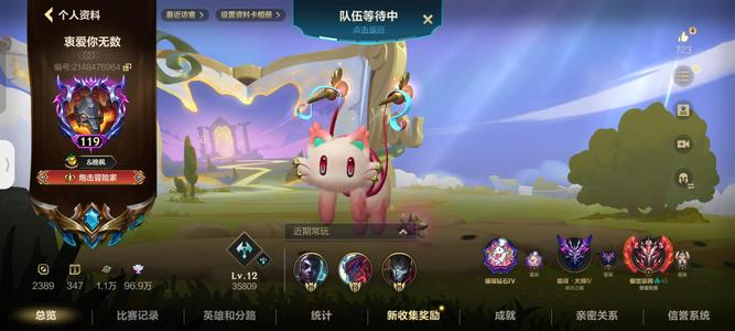 英雄联盟手游（lol手游）【119级】出价100多的不要来打扰