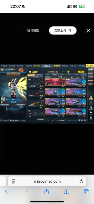 生死狙击（端游）【100级】生死狙击成品号