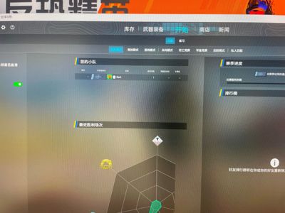CSGO优先账号 几个皮肤