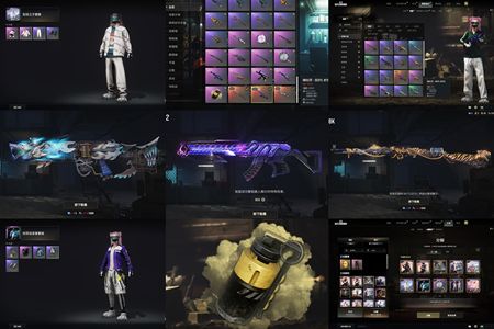 绝地求生（PUBG）三成长武器加烟雾弹白熊套装