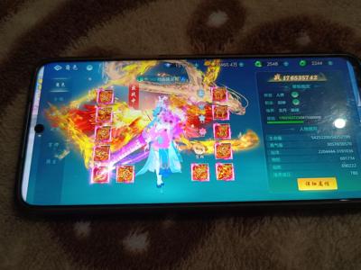 傲世飞仙【369级】高攻，高防，养老号