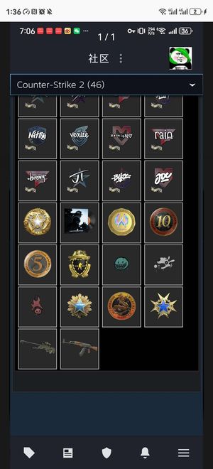 CSGO CS2勋章号15服役勋章排面