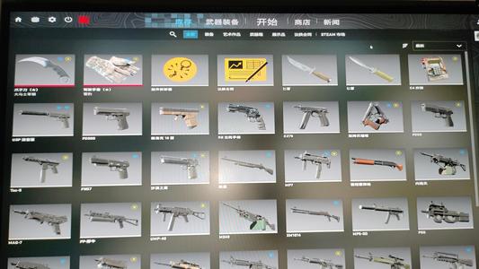 CSGO单完美雪豹手套爪子刀