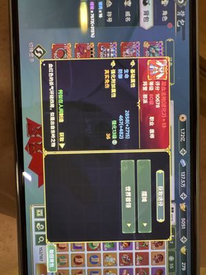 热血江湖：归来【77级医师】88区4星龙号带披风