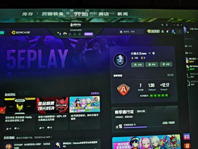 CSGO5e高rt段位号