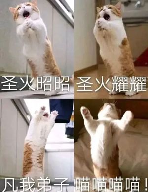 崩坏学园2很久以前的狗牙神教号