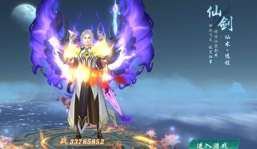 傲世飞仙【310级】龙之天域23区