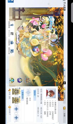 奥奇传说（端游+页游）2723高级账号