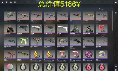 CSGO手套二西印花集单5e