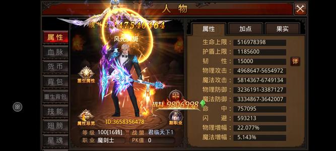 全民奇迹2.3亿战力，魔剑士和圣导师