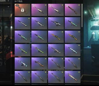 绝地求生（PUBG）生存等级1 名誉等级1 成长武器 究极 载具 枪皮1成长3计数女老黑白熊套