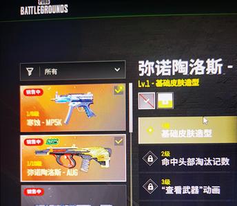绝地求生（PUBG）双成长 牛头aug