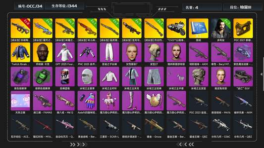 绝地求生（PUBG）生存等级1344 名誉等级4 