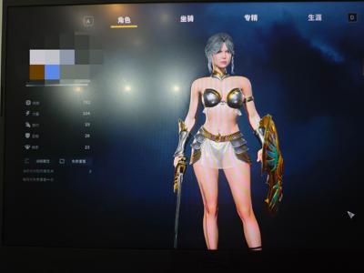 战意（端游）【2494级全系职业】国服九龙主流兵团全有，有桓