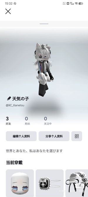 Roblox（外服）【114级】退游号，求买