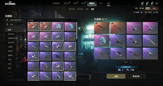 绝地求生（PUBG）双成长加烟枪一图纸灰包白熊金面
