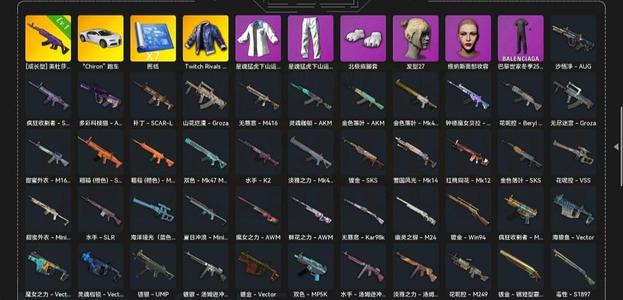 绝地求生（PUBG） 布加迪 美杜莎原皮 7张图纸