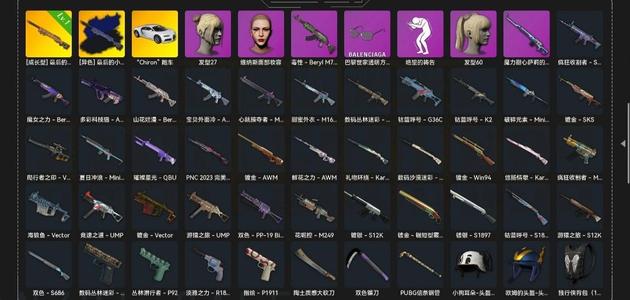 绝地求生（PUBG）布加迪 成长M24 异色