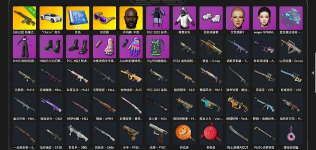 绝地求生（PUBG）生存等级150 名誉等级3 成长武器1 究极 载具 枪皮布加迪 女团 成长 滑雪镜