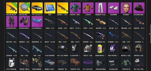 绝地求生（PUBG）生存等级48 名誉等级2 成长武器 究极 载具 枪皮保时捷911 3级美杜莎成长锅