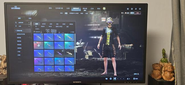 绝地求生（PUBG）金面滑雪镜汪汪三级包恶魔ACE
