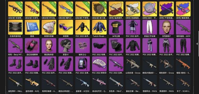 绝地求生（PUBG）退游了6成长4异色带满级莲花锅