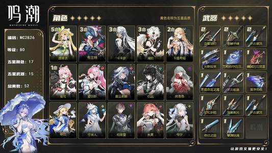 鸣潮80级/52黄/男主/17个