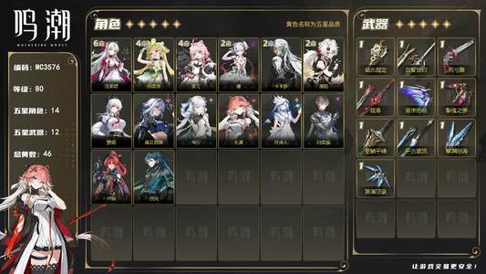 鸣潮【80级】80级/46黄/男主/14个