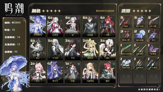鸣潮【70级】70级/95黄/男主/16个