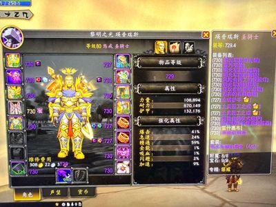 魔兽世界 729带双插孔毕业惩戒骑