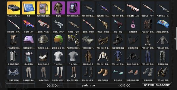 绝地求生（PUBG）生存等级112 名誉等级3 成长武器 究极 载具 枪皮保时捷卡宴已做出，粉色电磁背包