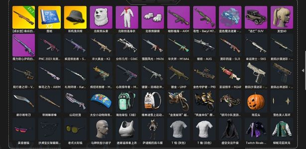 绝地求生（PUBG）当小号玩一下