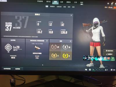 绝地求生（PUBG）530级可排位禅意夹克绿烟