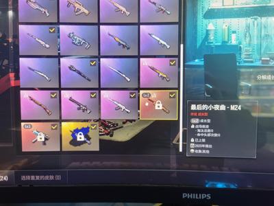 绝地求生（PUBG）成长m24原皮异色mp5白运动
