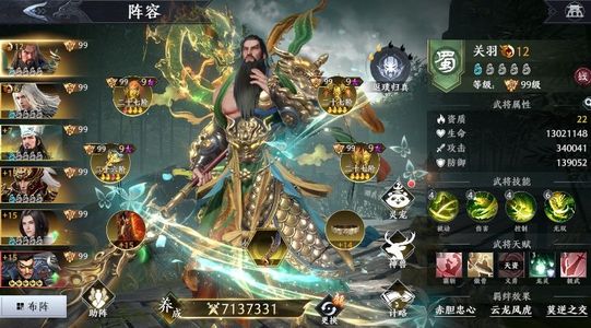 极无双2【999级】准五彩觉醒12关羽＋7诸葛