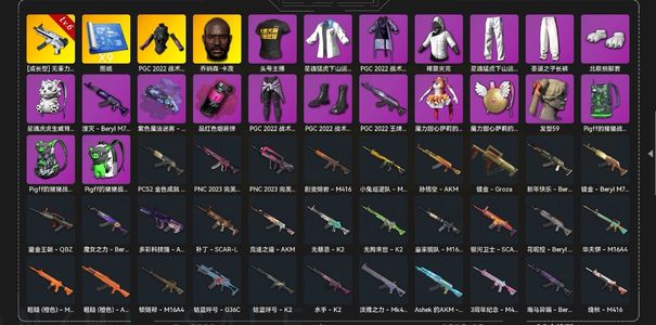 绝地求生（PUBG）满级无重力mp5k，9图纸