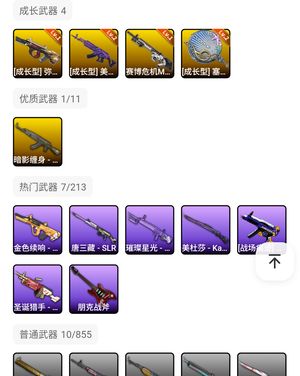 绝地求生（PUBG）生存等级45 名誉等级2 成长武器 究极 载具 枪皮美杜莎加黄金异色丸子头懒的截图